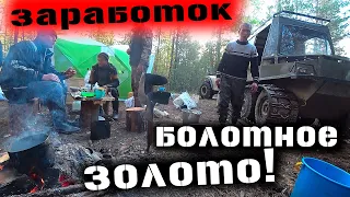 В ПОИСКАХ БОЛОТНОГО ЗОЛОТА! НЕДЕЛЮ В ТАЙГЕ! ПРОМЫСЕЛ СБОР КЛЮКВЫ!