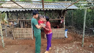 Vu went to the forest to cut bamboo - mother and daughter planted vegetables around the house