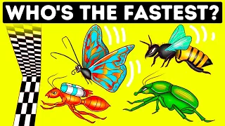 A Bug Even Fastest Human on Earth Can't Outrun