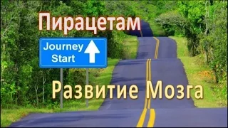 Пирацетам: Исследования, Развитие Мозга