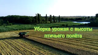 Уборка урожая пшеницы 2022. Завершение.