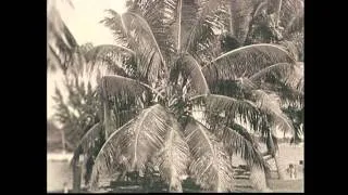 1939 - Our Car Trip To Miami (Home Movie)