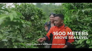 Kopi Jawa Barat Kebanggaan Indonesia