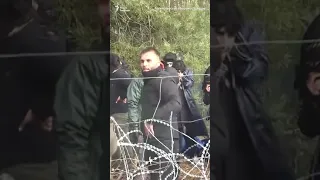 Мигранты ломают границу с Польшей, чтобы попасть из Беларуси в ЕС #shorts