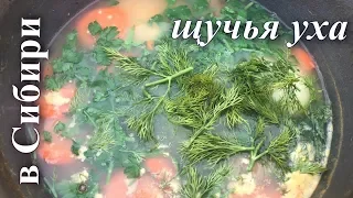 Лесная кухня: Самая вкусная Уха в казане на костре!