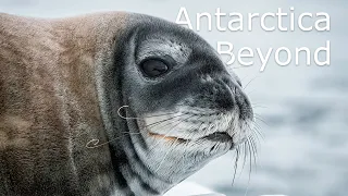 Antarctica Beyond | Cinematic Travel Film