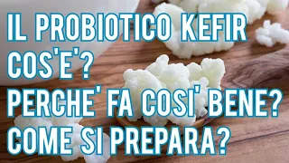 Il probiotico Kefir - Cos'è, perchè fa così bene e come si prepara spiegato in modo chiaro