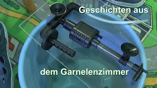 Zwerggarnelen Caridina Weichwasser und Neocaridina Hartwasser Die Sache mit dem Filter