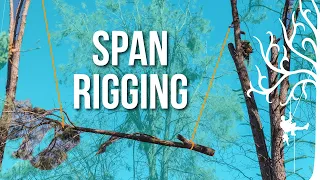 Rigging BIG pieces | Experts ONLY | Advanced Techniques| Massive Grey Pine Removal