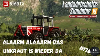 [LS19] - Alpine ADD-ON #176 |  Alaarm Alaaarm das Unkraut ist wieder da... [2K]