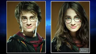 "Harry Potter" - if the male characters were women, and the female characters were men (part 1)