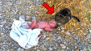 The Father Threw The Crying Baby Into The Forest,Then A Cat Found Her And Did Something Wonderful!