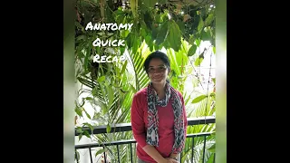 ANATOMY QUICK REVIEW WITH MCQ-DEVELOPMENT OF CNS-DR ROSE JOSE MD DNB