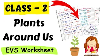 Plants Around Us  Worksheet for Class 2 | Class 2 EVS Worksheet |EVS Worksheet for Class 2 | Class 2