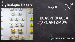 Biologia klasa 5 [Lekcja 10 - Klasyfikacja organizmów]