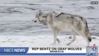 Congressman Benz speaks on gray wolves at hearing in Minnesota