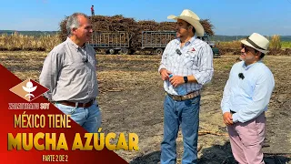 ASÍ SE COSECHA la caña de azúcar