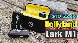 Hollyland Lark M1 WIRELESS MICROPHONES 🎤 A pleasure for your hearing!