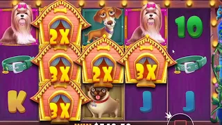 RELAX BIG WIN! CRAZY GAME DOG HOUSE BONUS