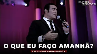 Elymar Santos - O Que Eu Faço Amanhã? (DVD Elymar Canta Marrom)