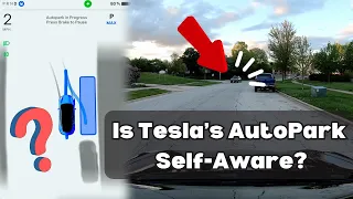 Is Tesla's AutoPark Self-Aware? Can it Park in Diagonal Spots?