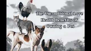 The Unconditional Love : Health Benefits of Pet Owner #petlover #unconditionallove #healthbenefits