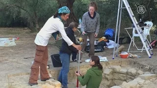 В Греции нашли 3500-летнюю могилу знатного воина (новости)