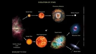 stellar evolution