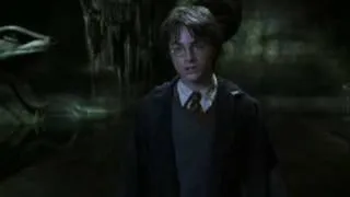 Harry Potter - Right here { departed}