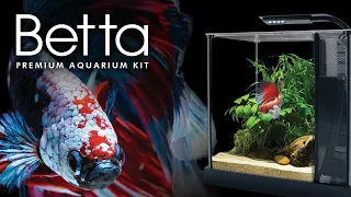 Fluval Betta Aquarium Unboxing