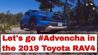 2019 Toyota RAV4 Adventure full review