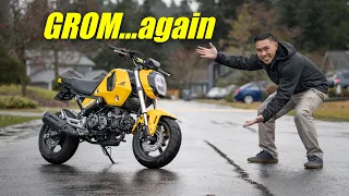 Here we go again | Honda Grom