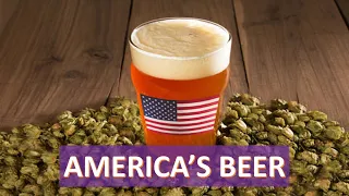The Rise of the American IPA -- Craft Beer Economics