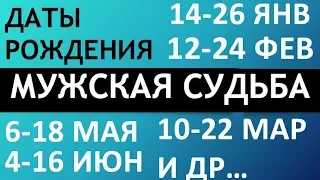 Мужской гороскоп даты рождения: с14до26 января / с12до24 февраля и другие см. описание. Чудинов