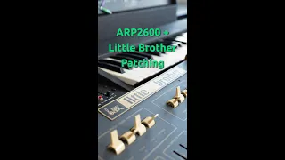 ARP2600 + Little Brother