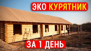 Лучший в мире курятник за 1 день! ЭКО Курятник для получения этических БИО ЯИЦ и долгой жизни КУР!