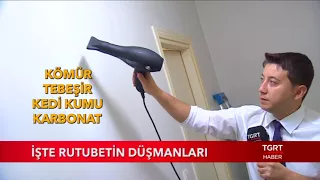 İşte Rutubetin Düşmanları