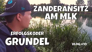 Zanderansitz am Mittellandkanal Hannover | Zander Angeln mit Pose und Grundel | Vlog #10