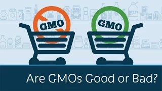 Are GMOs Good or Bad? | 5 Minute Video