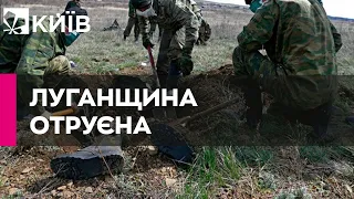 Луганщина перетворилася на російський могильник - ОВА
