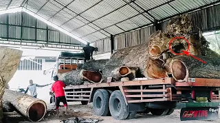 Shake the world!! Dramatic cutting of the largest and longest sacred trembesi wood at the sawmill