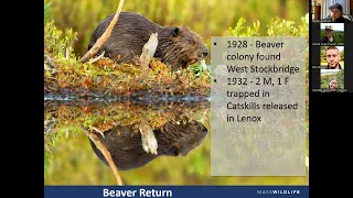 LEARN! All About Beavers