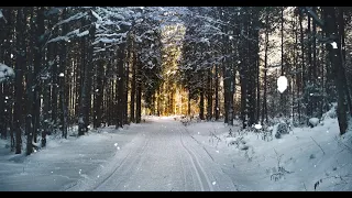 Winter Snow Ambience with beautiful music for Sleeping, Relaxing and Studying Background