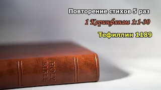 Тефиллин 1 Коринфянам 1:1-30 стихи повторение 5 раз