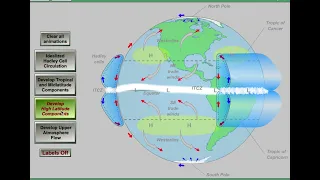 Global Winds Animation with Jet Streams
