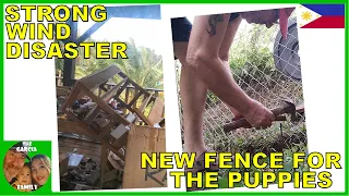 V580 - STRONG WIND DISASTER IN MINDANAO - NEW FENCE FOR THE PUPPIES - THE GARCIA FAMILY