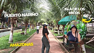 Viaje a puerto Nariño (vale la pena el tour a Puerto Nariño) Isla de los micos