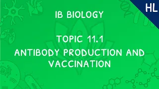 IB Biology Topic 11.1 (HL): Antibody production & vaccination