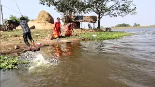Fishing Video || Village lady know how to catch fish using all kinds of techniques || Hook fishing