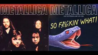 Metallica - Harvester of Sorrow (Rotterdam De Kuip 12-06-1993)